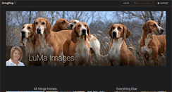 Desktop Screenshot of lumaimages.com